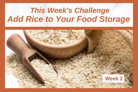 Add Rice To Your Food Storage, image of various kinds of rice